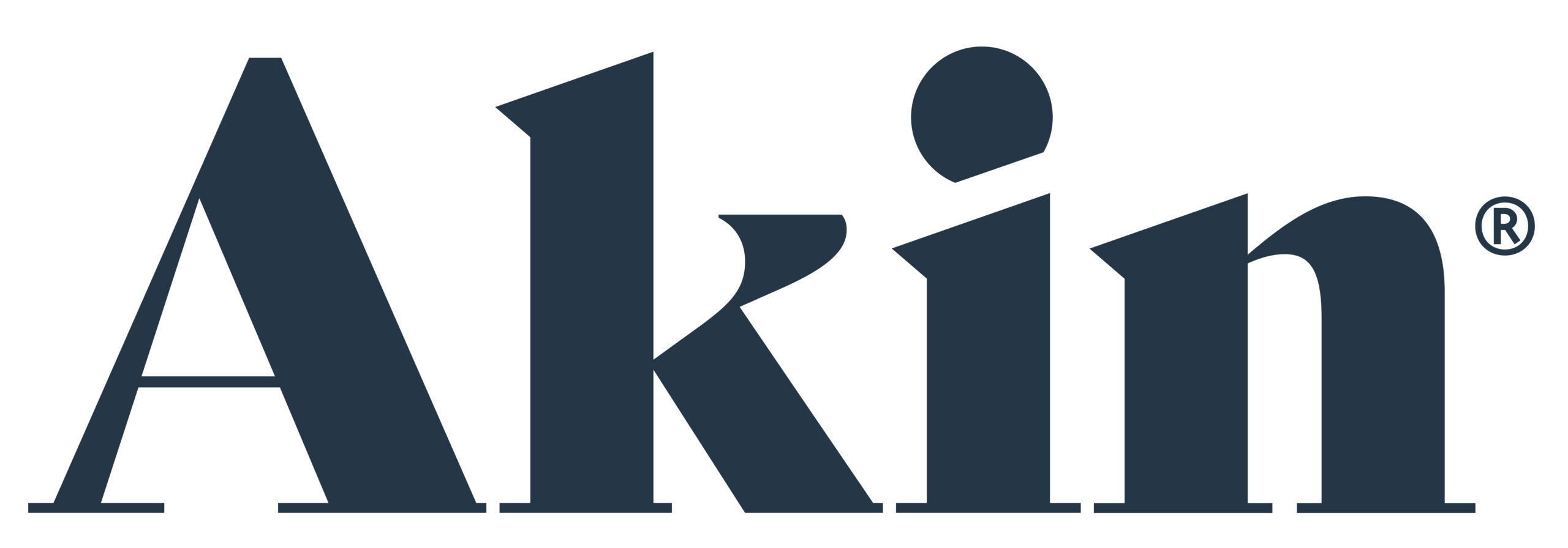 Silver Sponsor - Akin