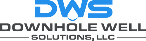 Gold Sponsor - DWS